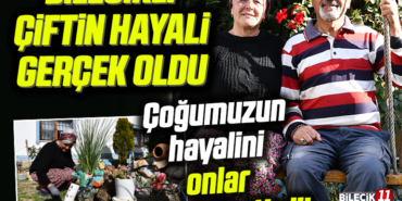 hayall