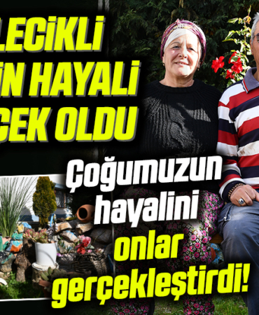 hayall