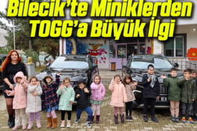 toggggg