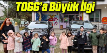 toggggg