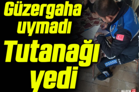 tutanakkkk