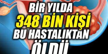 34T34T34T