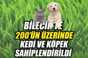 EFWEFWEFEWF