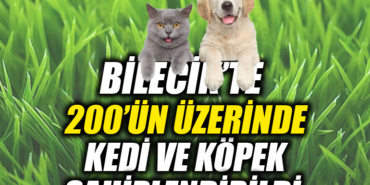 EFWEFWEFEWF