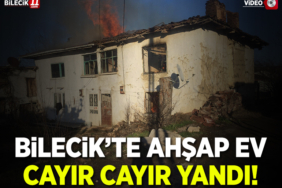 YANDI