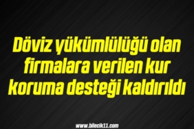 bilecik-haber_doviz-yukumlulugu-olan-firmalara-verilen-kur-koruma-destegi-kaldirildi-10-10.jpg