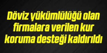 bilecik-haber_doviz-yukumlulugu-olan-firmalara-verilen-kur-koruma-destegi-kaldirildi-10-10.jpg