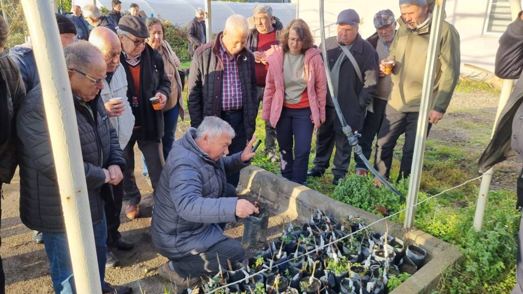 bilecik-haber_eceabatli-zeytin-ureticileri-inceleme-gezisine-katildi-57399.jpg