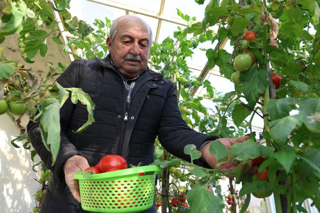 bilecik-haber_evlerin-terasinda-kurdugu-seralarda-4-mevsim-organik-tarim-yapiyor-56632.jpg