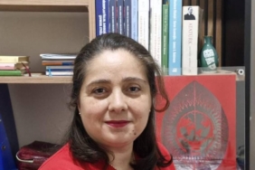 bilecik-haber_istanbul-da-trafik-kaynakli-azot-dioksit-kirliligi-2024-te-ortalamanin-uzerinde-artti-54946.jpg