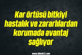 bilecik-haber_kar-ortusu-bitkiyi-hastalik-ve-zararlilardan-korumada-avantaj-sagliyor-20-20.jpg