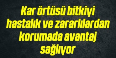 bilecik-haber_kar-ortusu-bitkiyi-hastalik-ve-zararlilardan-korumada-avantaj-sagliyor-20-20.jpg