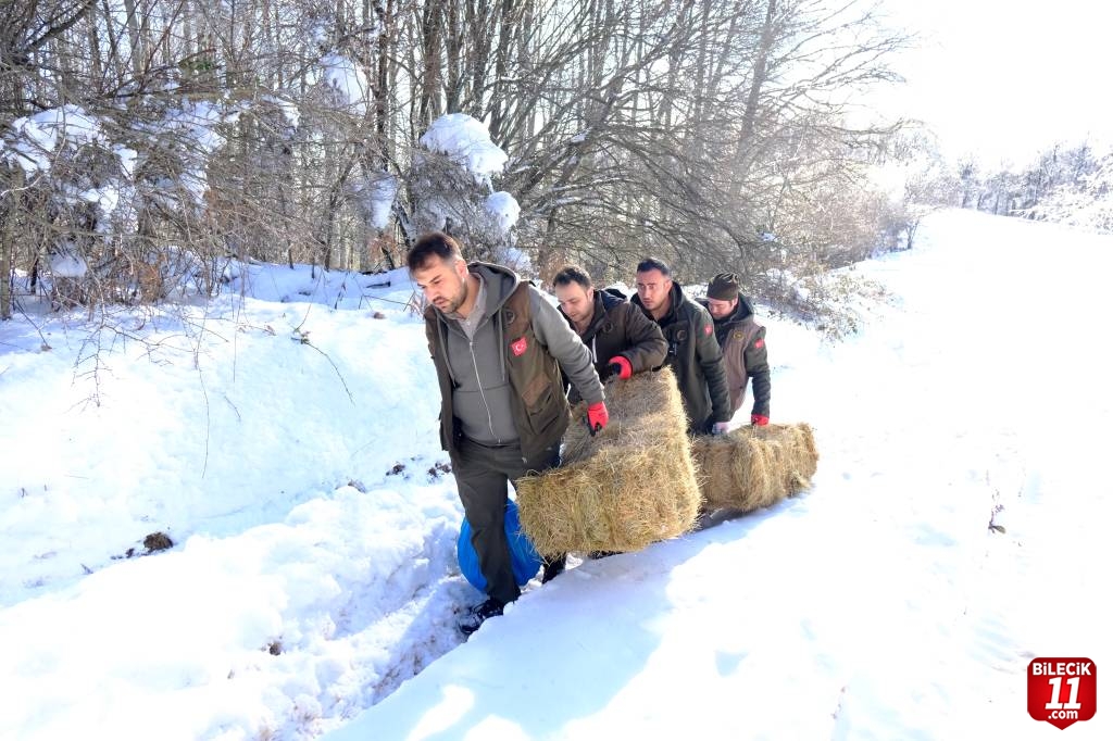 Kırklareli'nde Yıldız Dağları'ndaki yaban hayvanları için doğaya yem bırakıldı