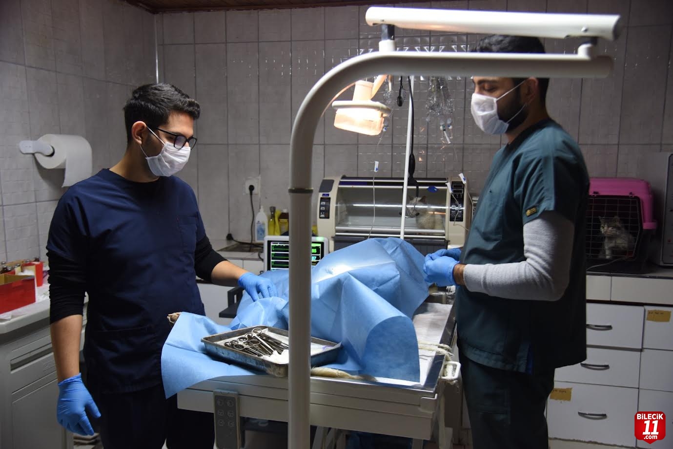 TEDAVİ EDİLDİLER DOĞAL ORTAMLARINA BIRAKILDILAR