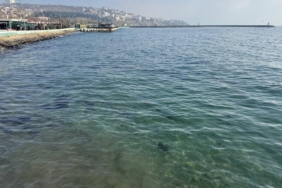 bilecik-haber_tekirdag-da-deniz-ulasimi-normale-dondu-53661.jpg