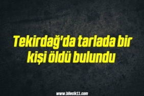 bilecik-haber_tekirdag-da-tarlada-bir-kisi-oldu-bulundu-14-14.jpg