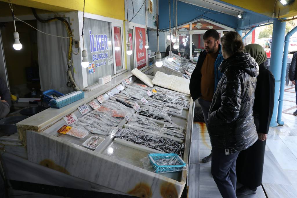 bilecik-haber_tekirdagli-balikcilarin-agina-en-cok-istavrit-takiliyor-58008.jpg