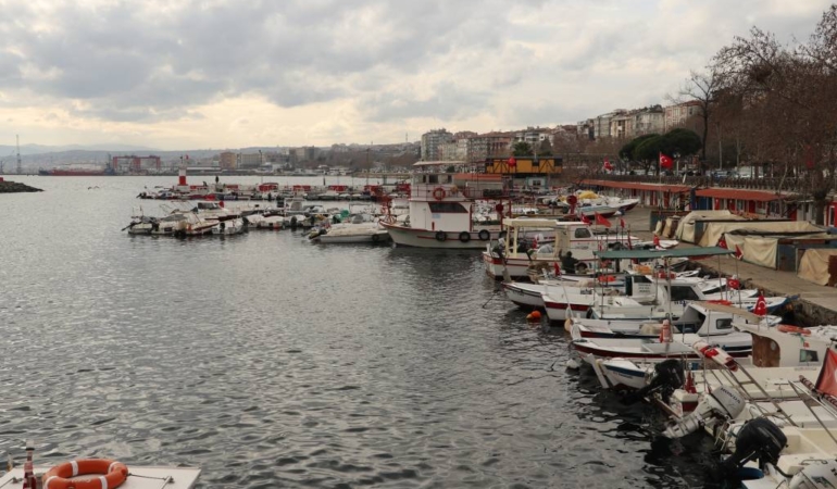 bilecik-haber_tekirdagli-balikcilarin-yuzu-hamsi-ve-cinekop-aviyla-guluyor-54553.jpg