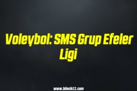 bilecik-haber_voleybol-sms-grup-efeler-ligi-13-13.jpg