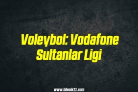 bilecik-haber_voleybol-vodafone-sultanlar-ligi-12-12.jpg