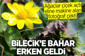 çiçek