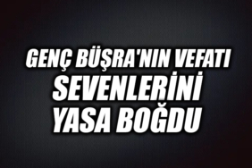 ergegeg