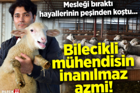 muhendız