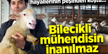 muhendız