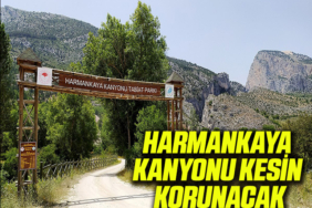 nasıl ama