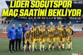 tekir