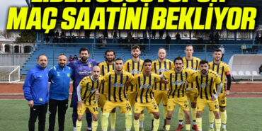 tekir
