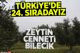 24.