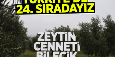 24.