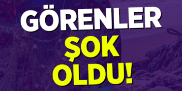 ŞOK