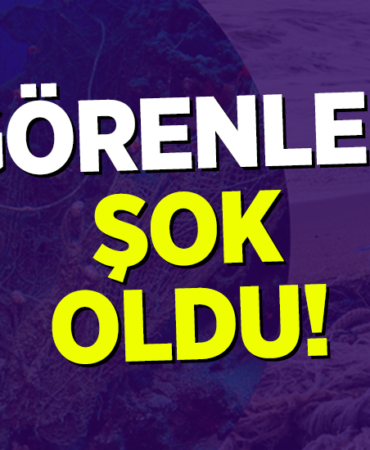 ŞOK