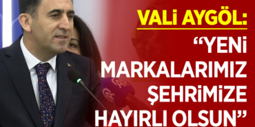 VALİ