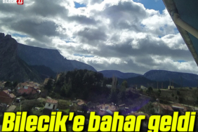 bahar
