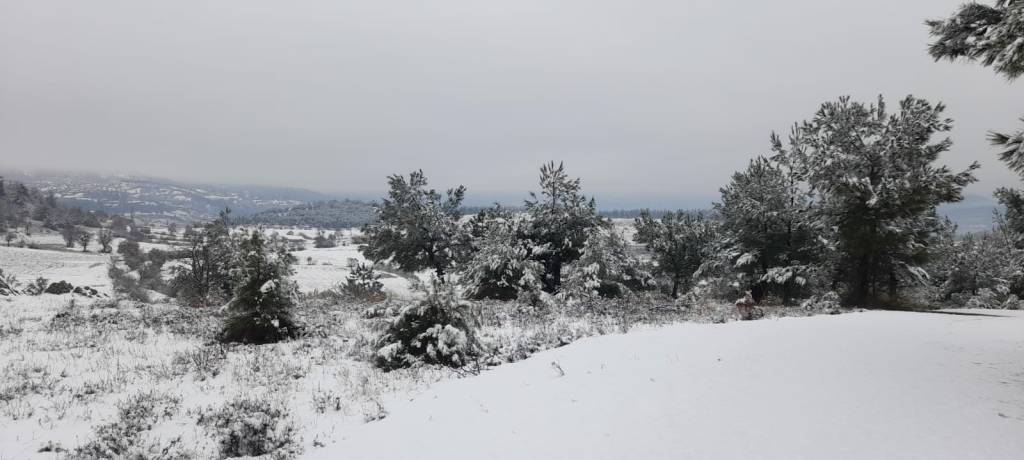 bilecik-haber_balikesir-de-kar-yagisi-etkili-oldu-59011.jpg