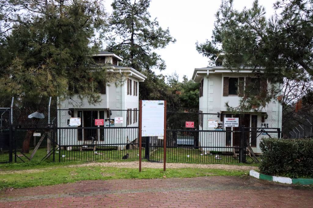 bilecik-haber_bursa-nin-engelli-ve-sahipsiz-kedileri-18-yildir-villa-da-yasiyor-60709.jpg