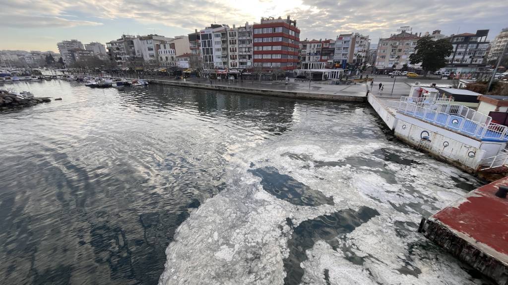 bilecik-haber_canakkale-sahillerinde-musilaj-gorulmeye-baslandi-58276.jpg