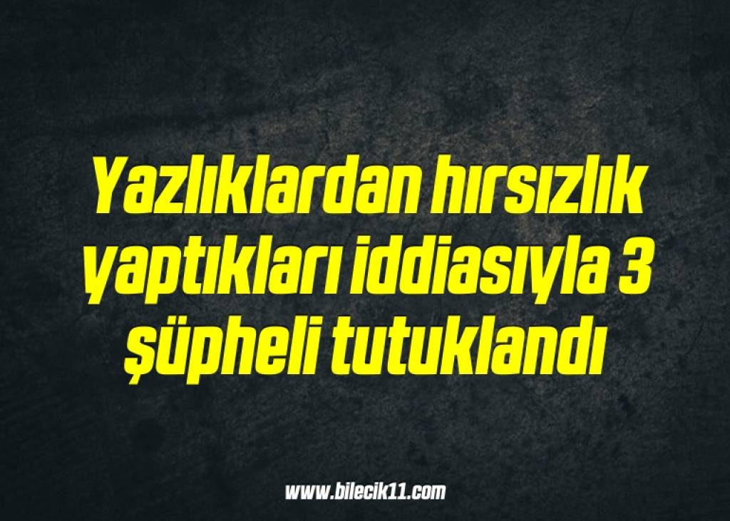 bilecik-haber_yazliklardan-hirsizlik-yaptiklari-iddiasiyla-3-supheli-tutuklandi-20-20.jpg
