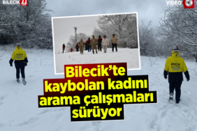 kayıp