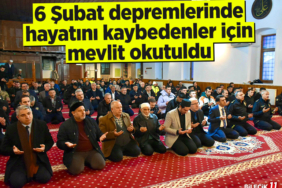 mevlit