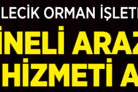 orman2