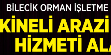 orman2