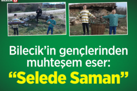 seledesaman