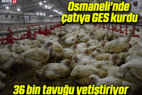 ses