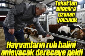 tamam