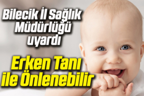 bebek