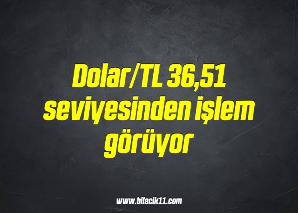 bilecik-haber_dolar-tl-36-51-seviyesinden-islem-goruyor-18-18.jpg